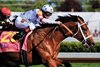 Big Brown with jockey Kent Desormeaux breaks away from the pack on his way to winning the 134th Kentucky Derby.