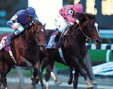 Breeders' Cup Winner Twilight Gleaming Heads Mamzelle - BloodHorse