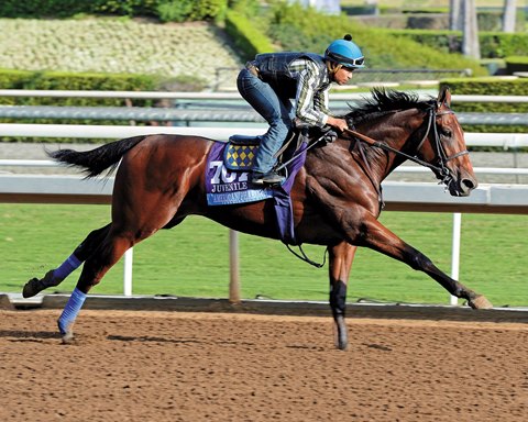 World's top-rated horse, Equinox, wins in Japan as Royal Ascot wraps up in  England 