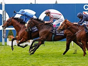 Farhh Wins Champion Stakes Thriller at Ascot - BloodHorse