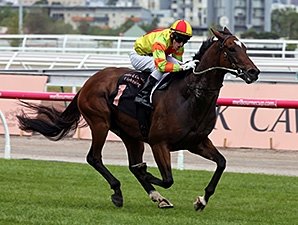 Lankan Rupee Tastes Victory in Black Caviar - BloodHorse