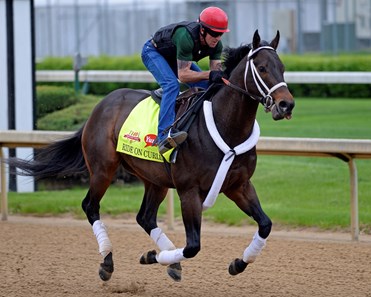 Ride on Curlin trainer likes chances in Belmont Stake's long stretch – New  York Daily News