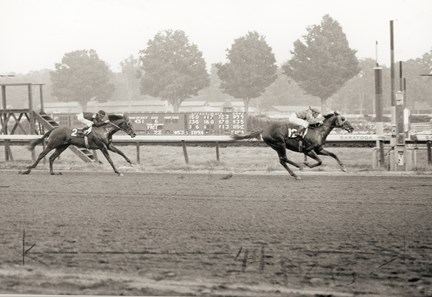 Saratoga 150 Racing History - Slideshow - Bloodhorse