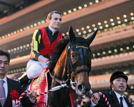 Gentildonna wins the 2013 Japan Cup for a second time at Tokyo Race Course to become the first to win the prestigious event twice