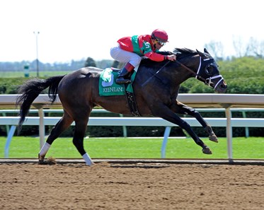 After being eased during his seasonal debut in the Donn Handicap Feb. 7 at Gulfstream Park, Protonico bounced back with an easy victory in the Grade III $150,000 Ben Ali Stakes at Keeneland.