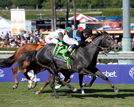 Mizdirection wins the 2023 Breeders' Cup Turf Sprint at Santa Anita Park