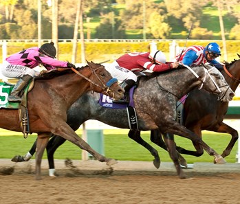 Fed Biz - Horse Profile - BloodHorse