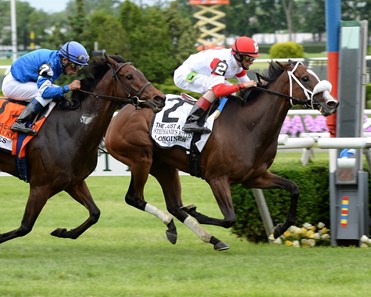 Stephanie's Kitten - Horse Profile - BloodHorse