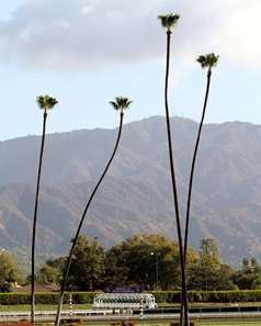 Breeders cup betting menu Breeders cup betting menu