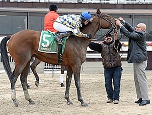 Salutos Amigos - Horse Profile - BloodHorse