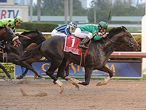 Honor Code - Horse Profile - BloodHorse