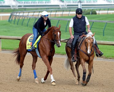 Chitu - Horse Profile - BloodHorse