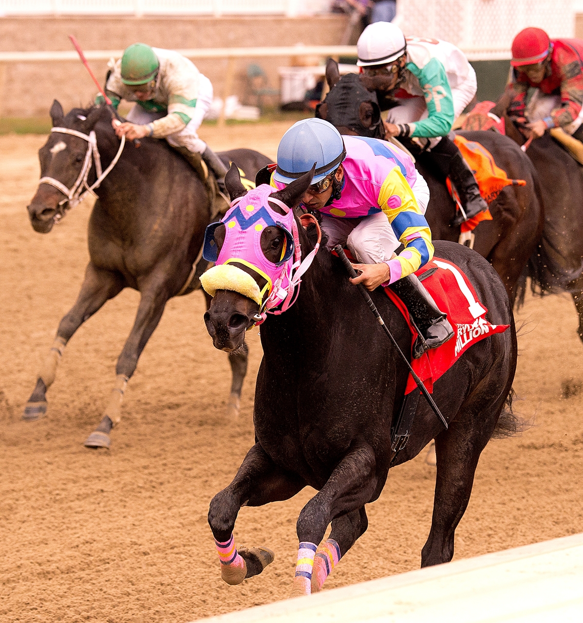 Vianney Lane - Horse Profile - BloodHorse