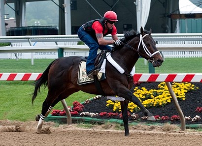 Ride on Curlin trainer likes chances in Belmont Stake's long stretch – New  York Daily News