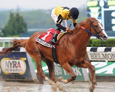 Freedom Child - Horse Profile - BloodHorse