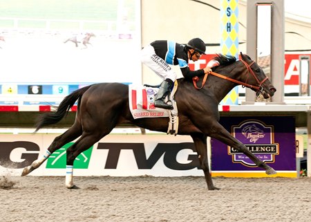 Shared Belief wins the 2014 Pacific Classic Stakes at Del Mar