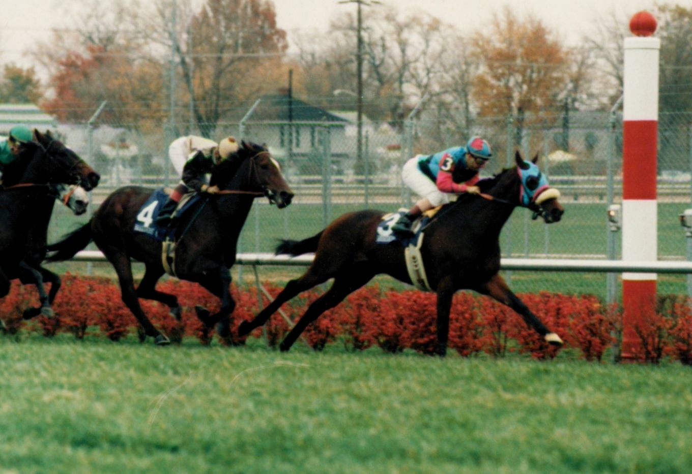 Breeders' Cup Turf: 1984 - 2023 - Slideshow - BloodHorse