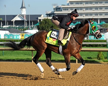 Palace Malice - Horse Profile - BloodHorse