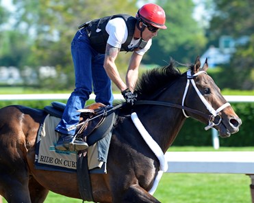 Ride On Curlin - Horse Profile - BloodHorse