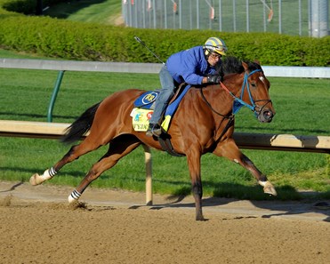 Vyjack - Horse Profile - BloodHorse