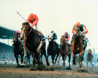 The Golden Era of the Santa Anita Handicap - Slideshow - BloodHorse