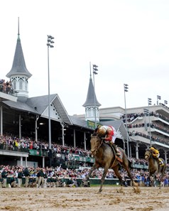 Orb - Horse Profile - BloodHorse