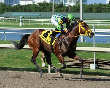 Wildcat Red - Horse Profile - BloodHorse