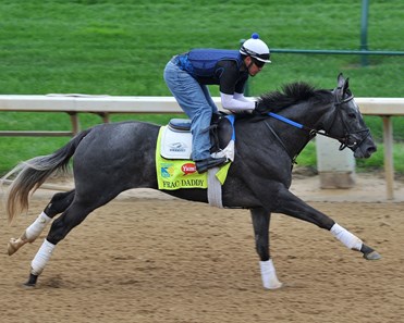 Frac Daddy - Horse Profile - BloodHorse