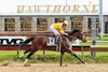 Departing winning the Illinois Derby at Hawthorne Race Course on April 20, 2013 with jockey Up Brian Joseph Hernandez.