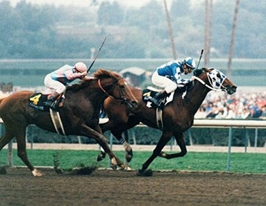 Alysheba - Slideshow - BloodHorse