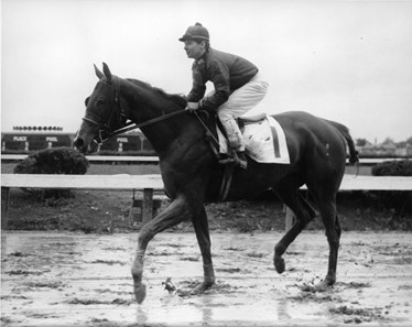 Filly Triple Crown Winners - Slideshow - BloodHorse