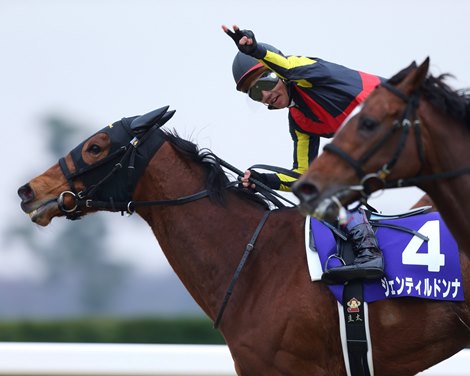 Japan Rasing Japanese Racing Icons to Enter Hall of Fame - BloodHorse