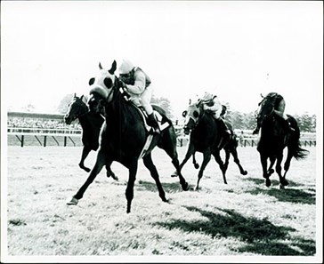 Great Geldings - Slideshow - BloodHorse