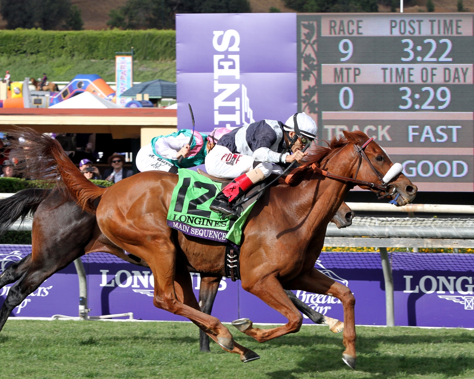 Main Sequence Horse Profile BloodHorse