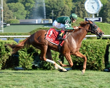 Ring Weekend - Horse Profile - BloodHorse