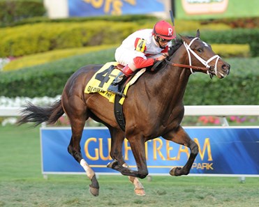 Charming Kitten - Horse Profile - BloodHorse