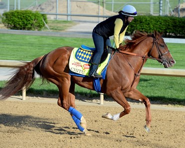 Chitu - Horse Profile - BloodHorse