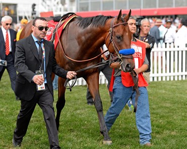 American Pharoah wins 140th Preakness Stakes