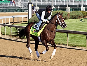 Carpe Diem - Horse Profile - BloodHorse