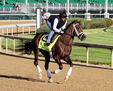 Carpe Diem - Horse Profile - BloodHorse