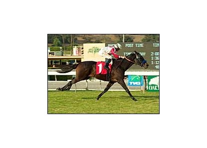 Spring House Racing Stables Spring House Sprints Home in Carleton Burke Handicap - BloodHorse