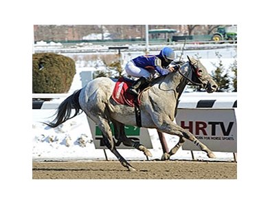 Old Friends Cabin Creek Welcomes Be Bullish Bloodhorse