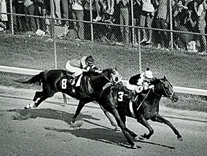 Seattle Slew - Horse Profile - BloodHorse