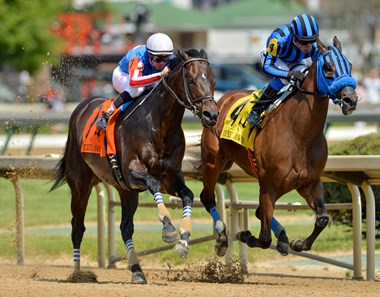 Private Zone - Horse Profile - BloodHorse