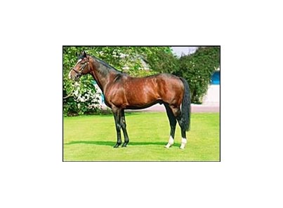 Sadler's Wells Captures Record 13th Consecutive Sire Title - BloodHorse