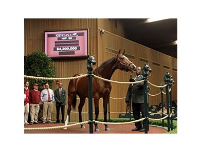 Pope buys Tapit colt for $2.1 million