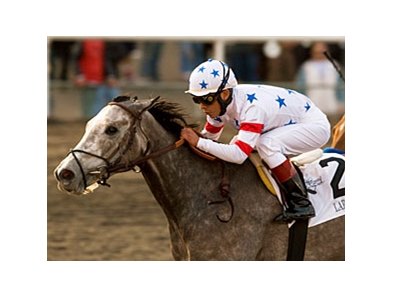 Laragh, winning the 2008 Hollywood Starlet Stakes, is the dam of Colcannon consigned as Hip 6 in the JS Company's Autumn Broodmare Sale