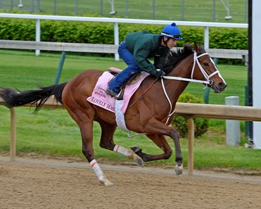 Lovely Maria - Horse Profile - BloodHorse