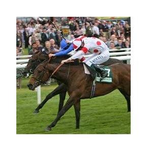 Red Evie Tough as Nails in Lockinge - BloodHorse