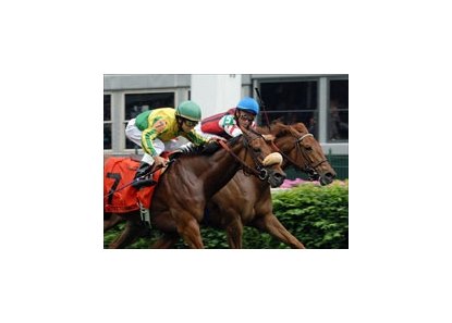 Take The Ribbon Puts Bow on Distaff Turf Mile BloodHorse